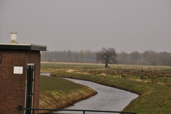 Afbeelding invoegen